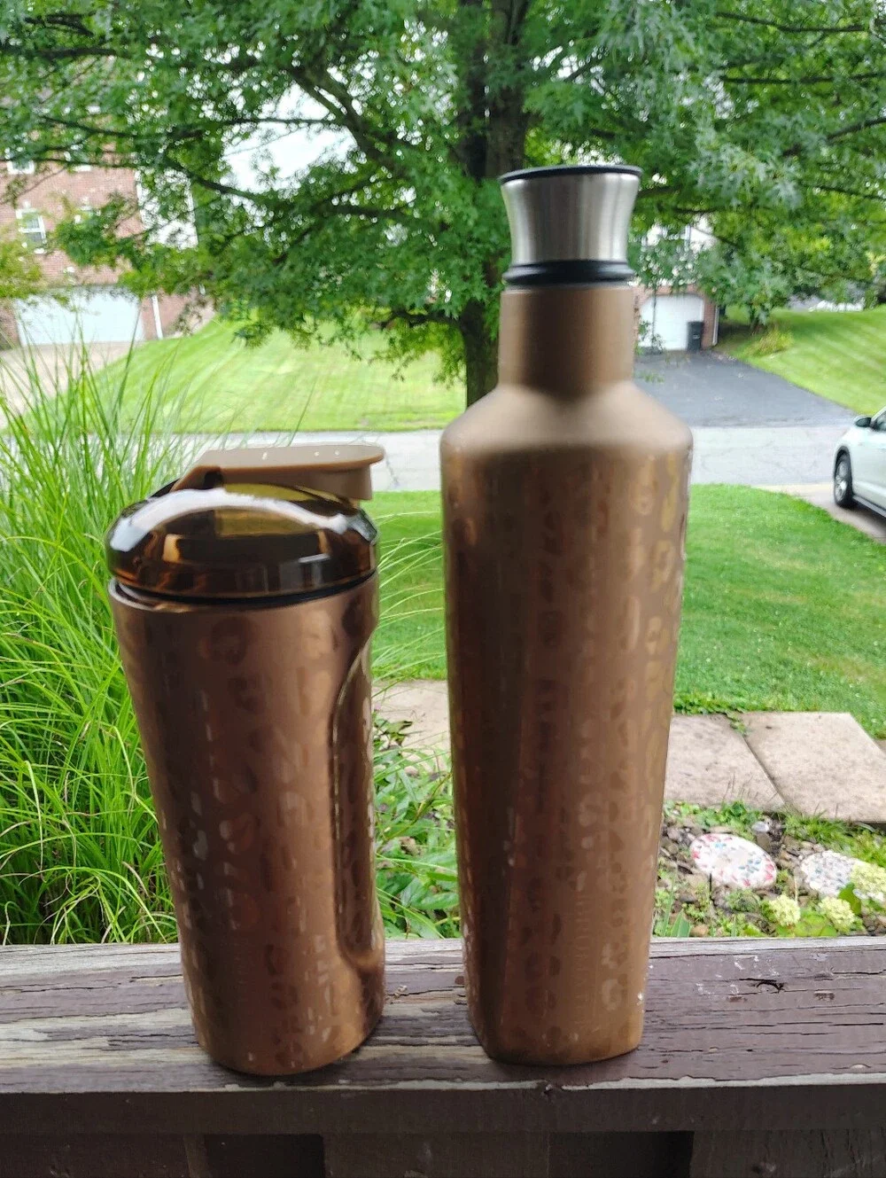 BruMate Rehydration & Multishaker Set Gold Leopard Cheetah Print 2Pc